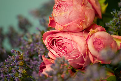 Close-up of rose bouquet