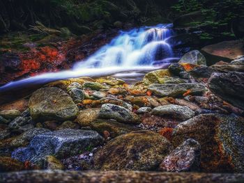 Scenic view of waterfall in forest