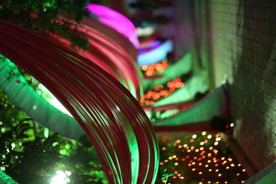 Close-up of illuminated flowers