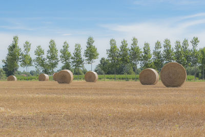 Hay bales on field against sky