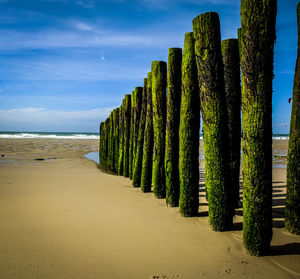 Scenic view of beach against blue sky