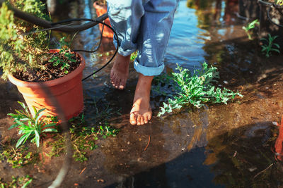 Low section of woman standing by plants