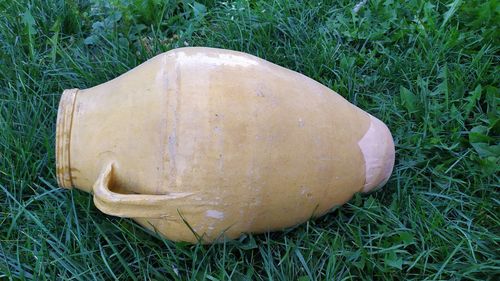 High angle view of bread on field