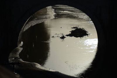 Reflection of trees in water