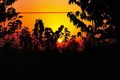 Silhouette trees against orange sky