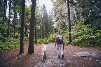 Rear view of man with dog in forest