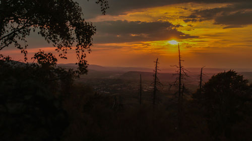 Silhouette trees on landscape against sky during sunset