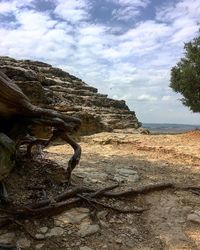 Driftwood on rock against sky