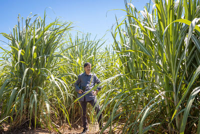 Man standing in field