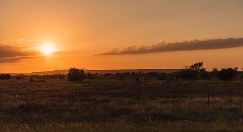 Scenic view of field against sky during sunset