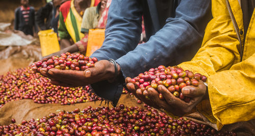 Midsection of man holding berry fruits at market