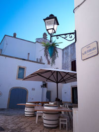 Potted plant on wall by building against sky