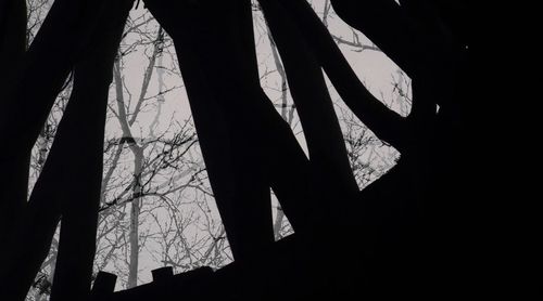 Low angle view of silhouette trees against sky