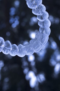 Close-up of frozen water on plant