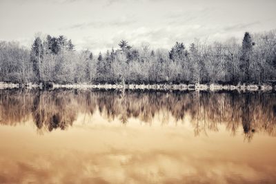 Reflection of trees in lake against sky