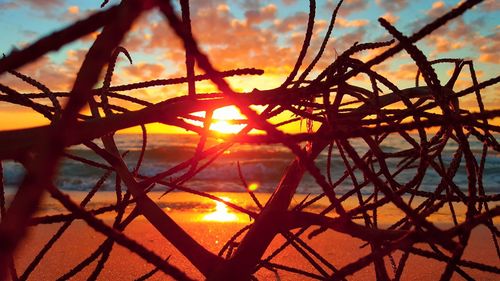 Close-up of silhouette trees against sky during sunset