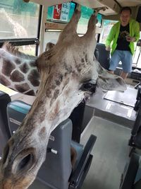 Close-up of people standing in kitchen