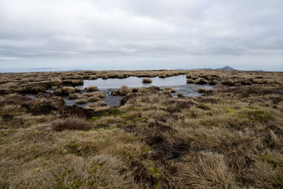 natural environment