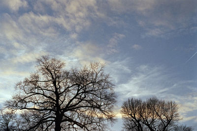 Low angle view of bare trees against cloudy sky