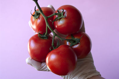 Close-up of hand holding tomatoes against white background