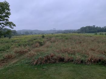 Scenic view of field against sky
