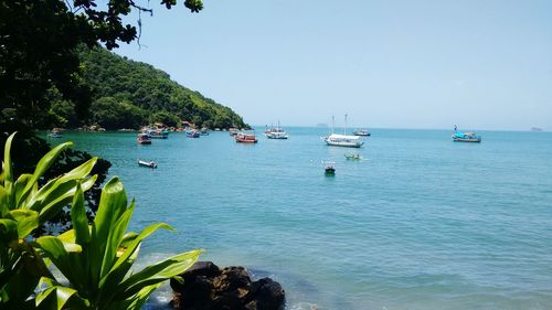 Scenic view of sea against clear sky