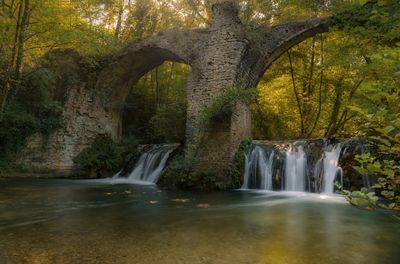 Scenic view of waterfall in forest