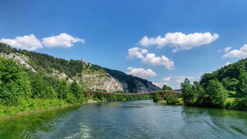 Scenic view of river amidst trees against sky