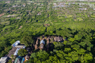 High angle view of trees on landscape