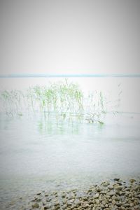 Swimming pool in sea against sky