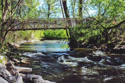 View of river passing through forest