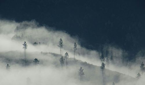 Scenic view of landscape against cloudy sky