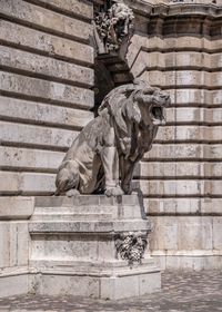 Budapest, hungary. lions yard of the buda castle palace in budapest, hungary, on a summer day