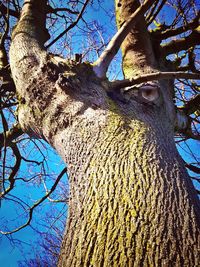 Low angle view of tree against sky