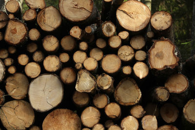 Full frame shot of logs