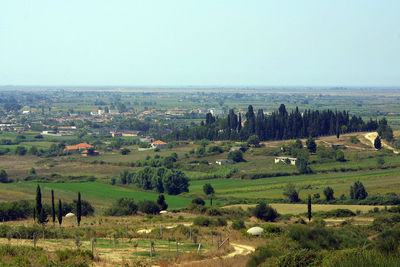 Scenic view of agricultural field against clear sky