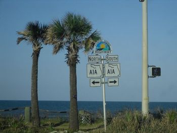Signs by palm trees against clear sky