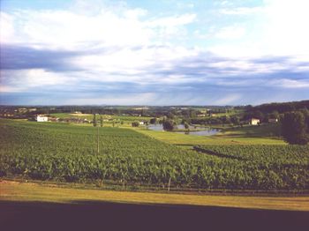 Scenic view of field against cloudy sky