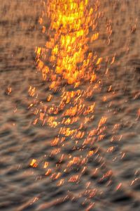 sunlight