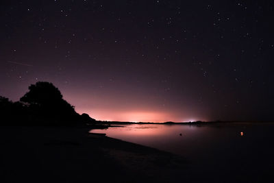 Silhouette of trees at night