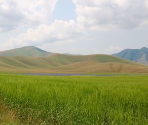 Scenic view of landscape against cloudy sky