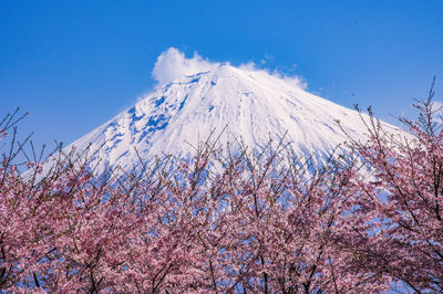 Low angle view of snowcapped mountain against blue sky