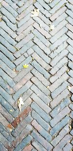 High angle view of footpath