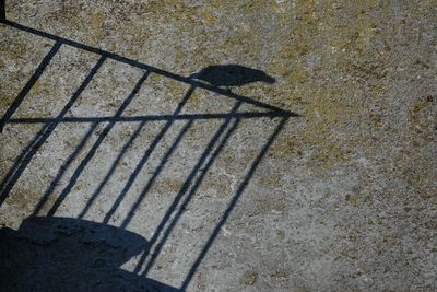 High angle view of shadow on ground