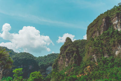 Low angle view of trees and mountains against sky