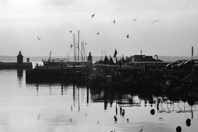 Birds flying over sea against sky