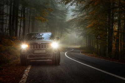 Cars on road in forest