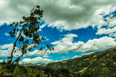 Scenic view of landscape against cloudy sky