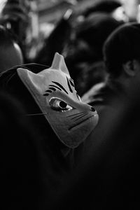 Close-up of rose flower