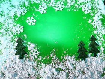 Close-up of plants on snow